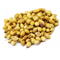 Shanson Exports : An Exporter Of Coriander Seeds, Coriander Seeds Exporter, Coriander Seeds Supplier, Coriander Seeds Producer, Coriander Seeds Sortex Quality, Coriander Seeds Ahmedabad, Coriander Seeds Exporter Gujarat, Coriander Seeds Exporter India.